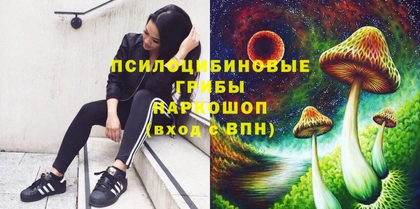 марки lsd Ладушкин
