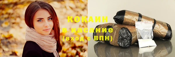твердый Кулебаки
