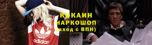 твердый Кулебаки