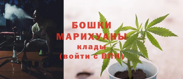 шишки Корсаков