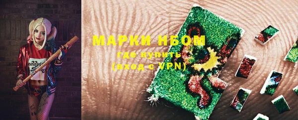 шишки Корсаков