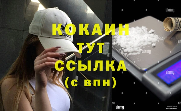 твердый Кулебаки