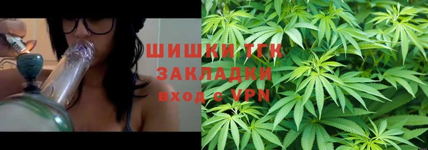 гидра Костерёво