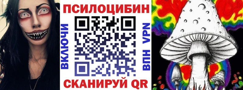 сколько стоит Красноармейск Псилоцибиновые грибы Magic Shrooms