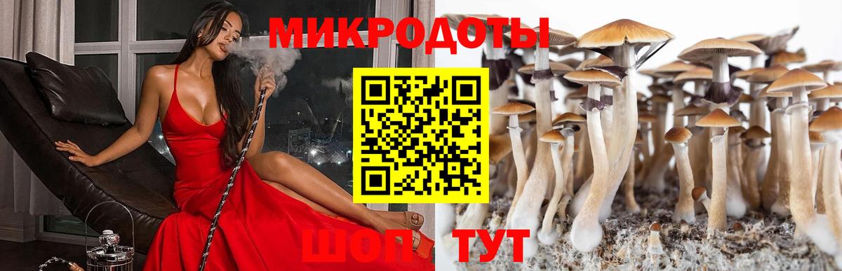 Красноармейск  купить закладку  Вход с VPN  Псилоцибиновые грибы мухоморы 